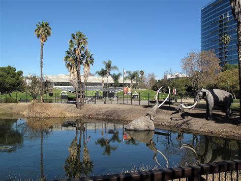 Das La Brea Tar Pits: Ein Blick in die eiszeitliche Fauna Los Angeles!